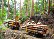 活用することで、日本の森林を育む